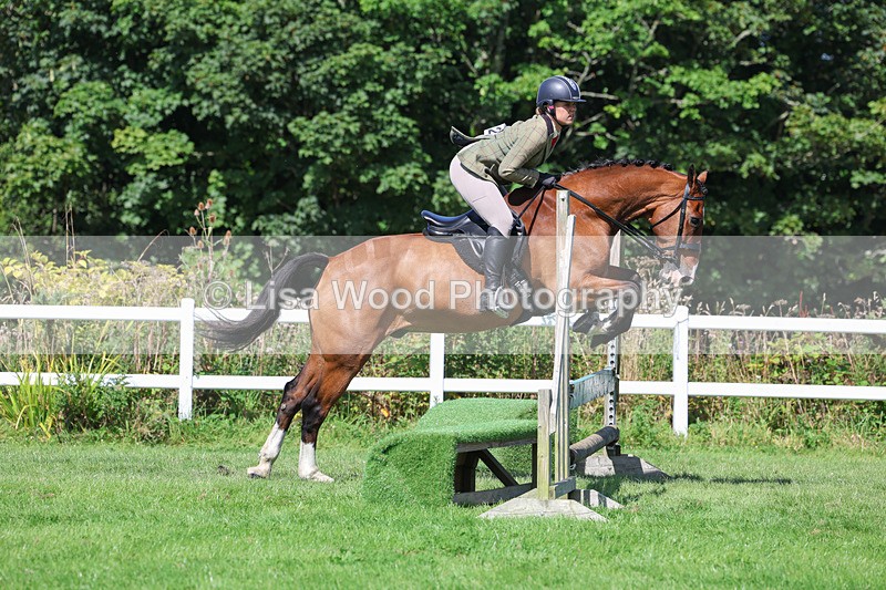 3E7A8546 - Class 5: Working Show Horse