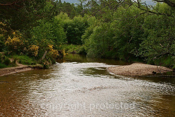 River Luineag - Glenmoore Forest - Scotland