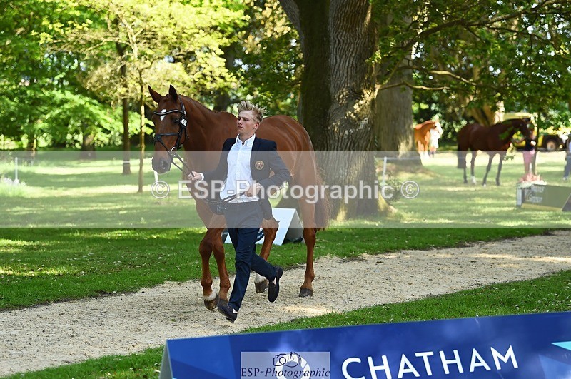 230524-160856-00715 - 251-CLASS_MOVE-Ellie_Healy-WEDTrotUp+DR