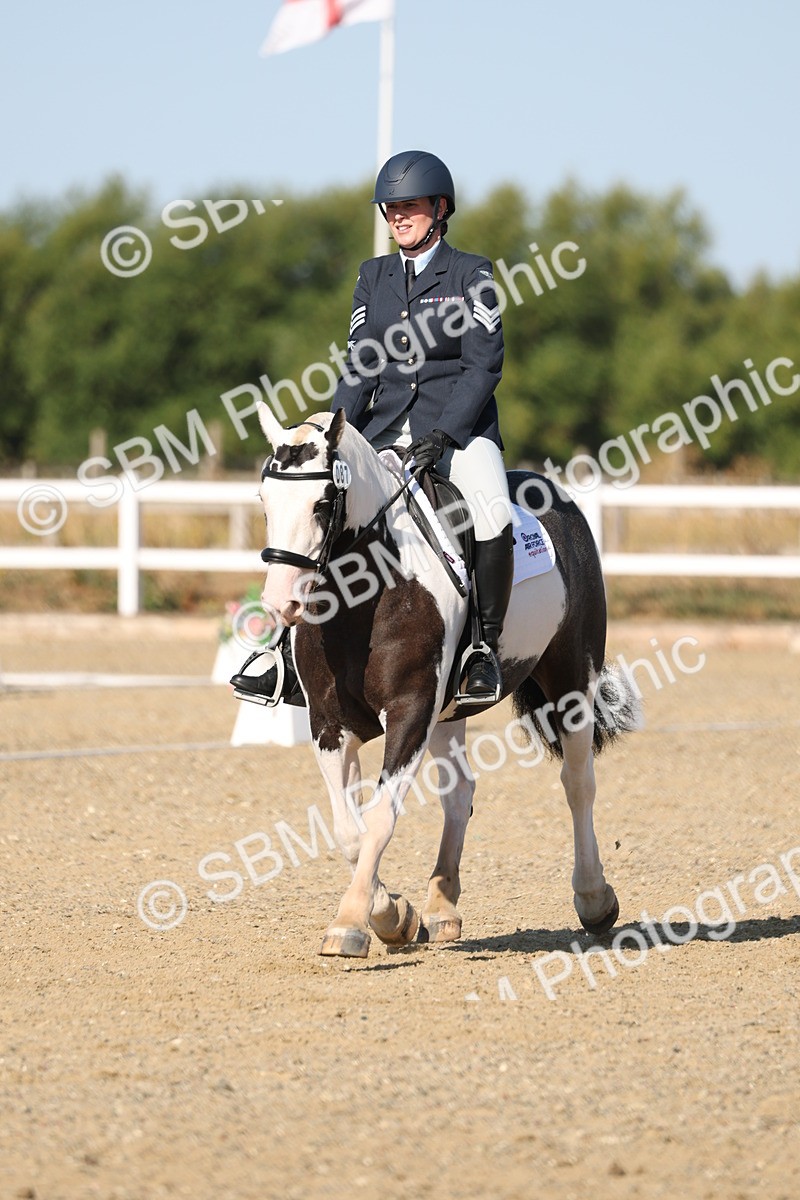 SBM_012713 - Class 1 - P5 Bronze 9.00.10.12