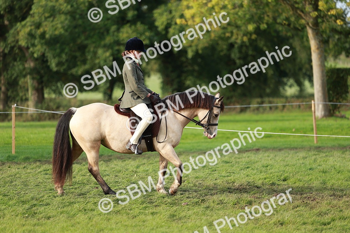 SBM_56267 - S39 - Starters In Hand Showing