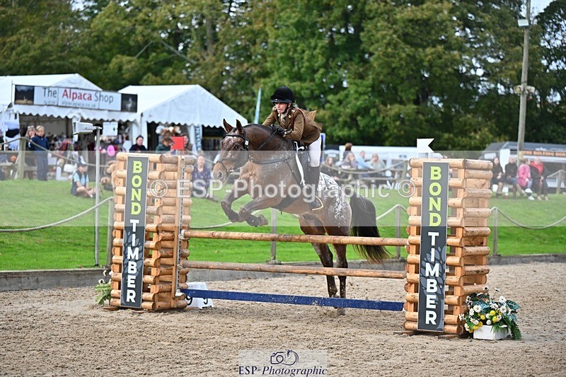 241027-143337-17942 - 501-Captain.Holly.Day-MUSTANG