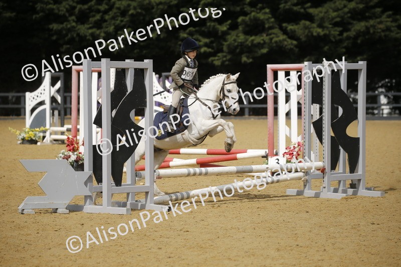 20250622-3744 - 50cm