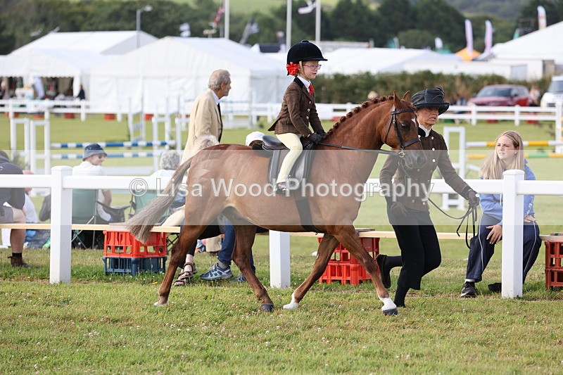 JPP_0272 - Class 14: Cornish Combination Leading Rein