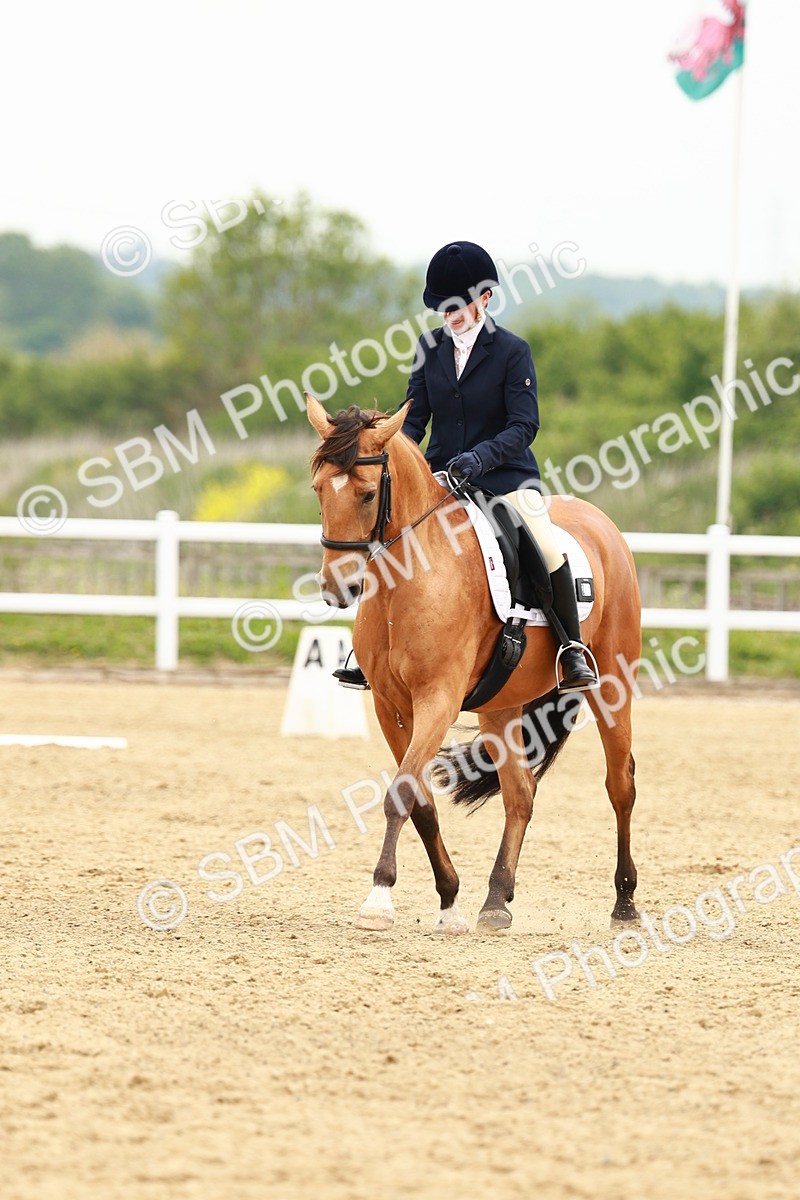 SBM_001414 - Class 7 - Novice 5