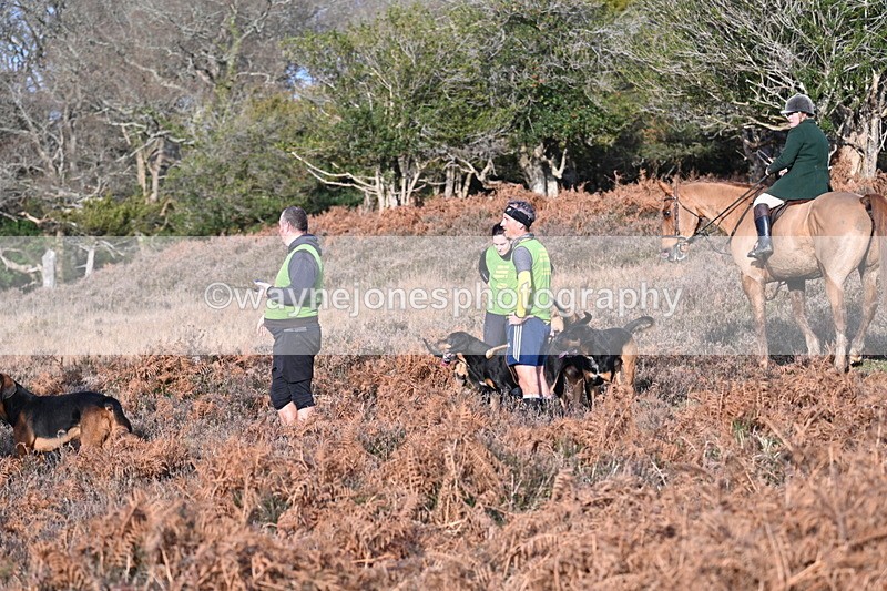 WJ7_7991 - Line 3 (no line 4 or 5)