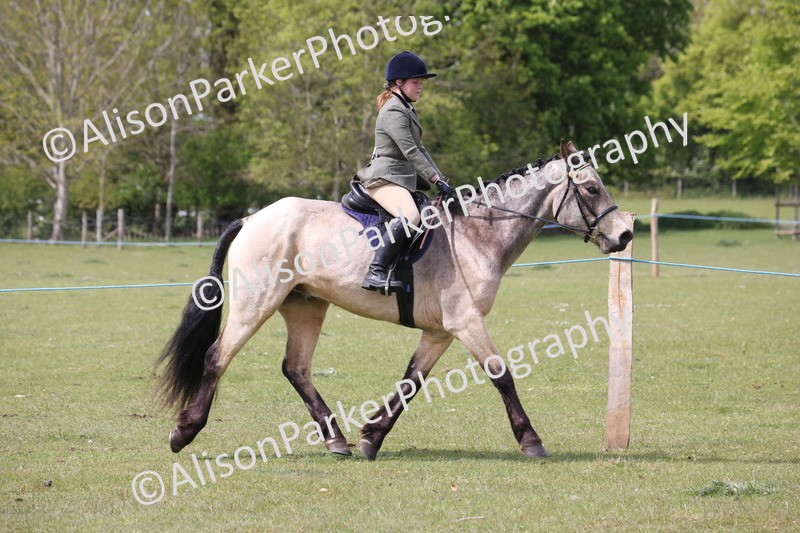 20260426-4313 - Class 34 - Best Riding Horse Over 14.2hh