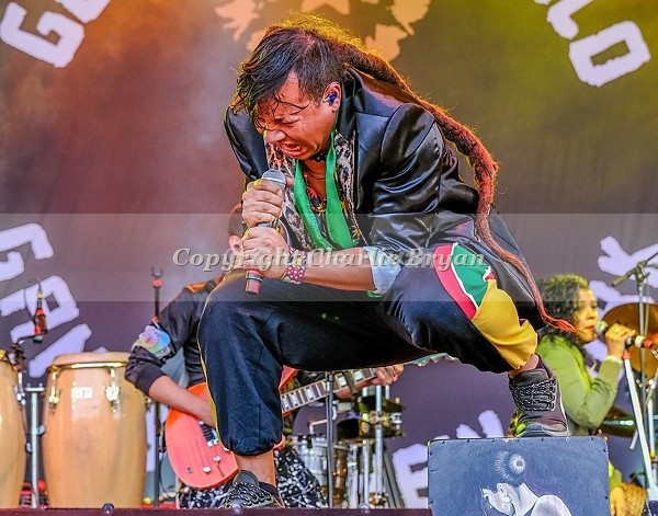 Gogo Bordello - Fairport Cropredy Convention 2019