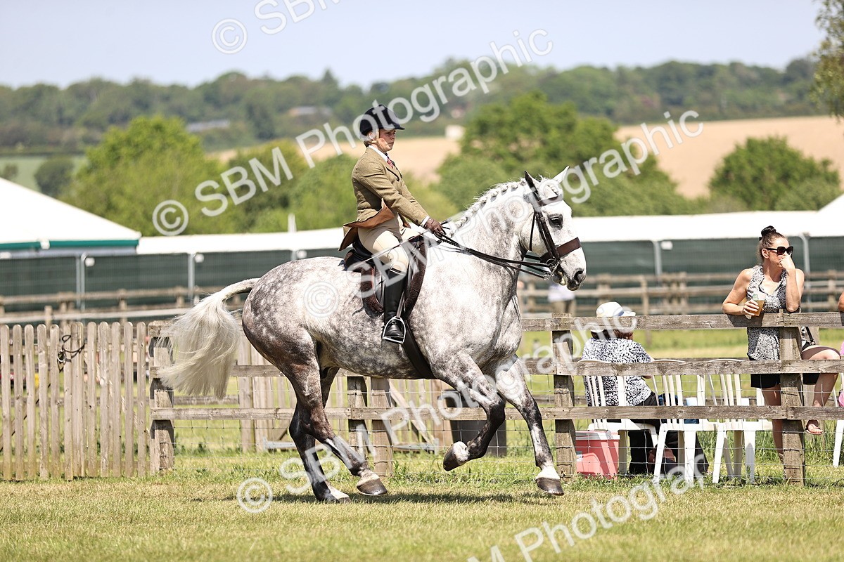 SBM_16139 - Class 79-80 - LIHS BSHA Rising Star Ridden Hunter