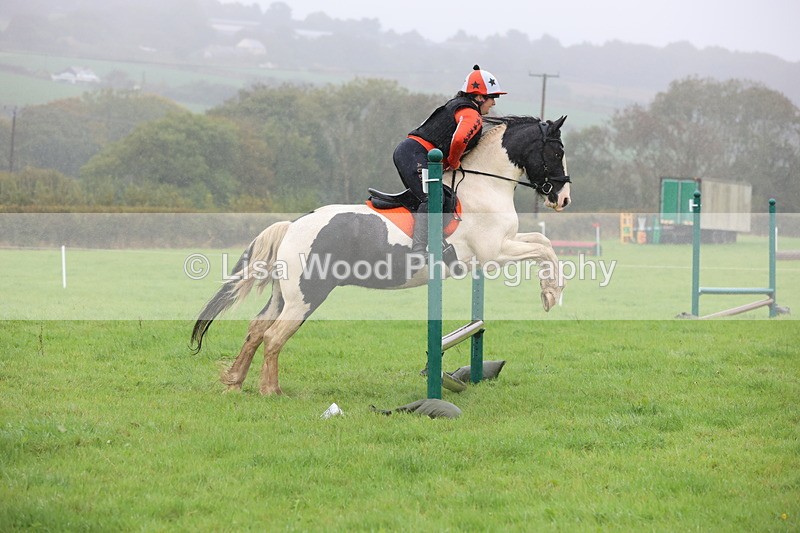 JPP_5136 - Class 1: 65cm : Showjumping