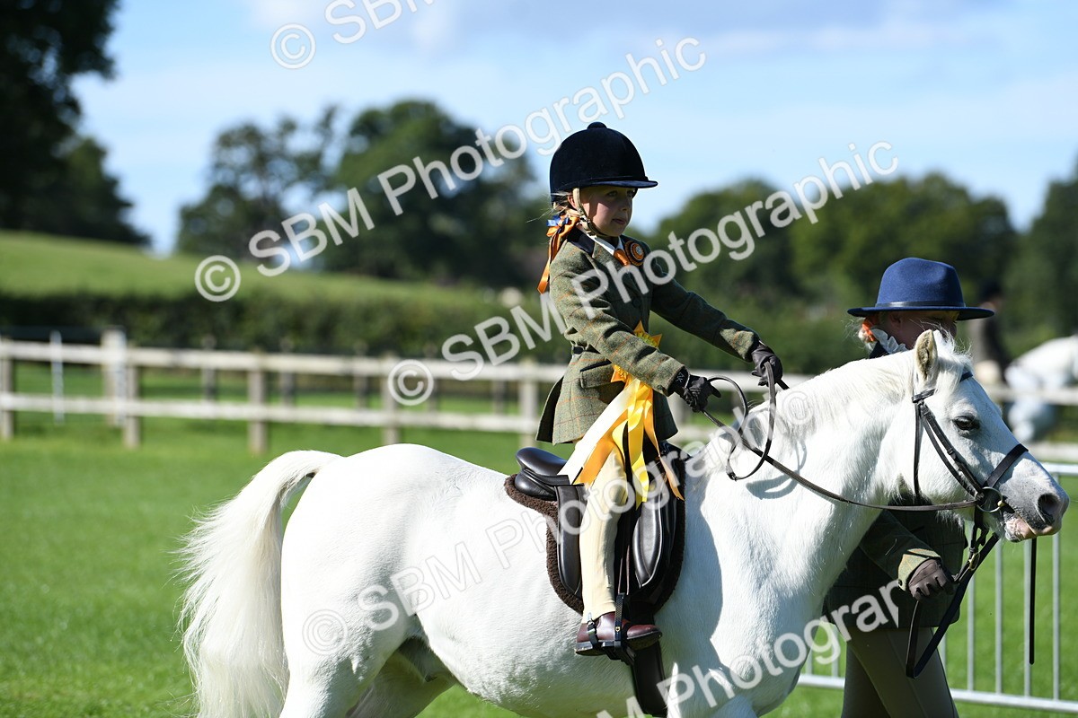 SBM_37119 - S18 - Novice & Newcomers Lead Rein Pony