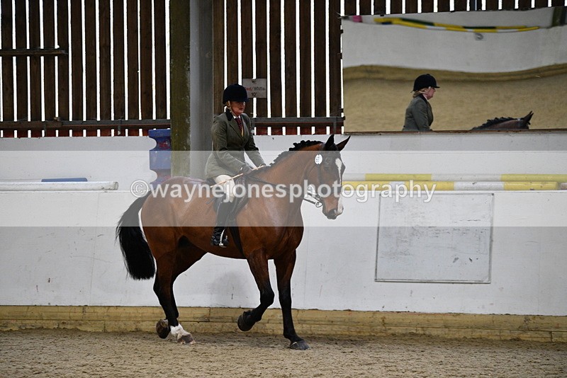 WJ5_8989 - Class 15 Ridden Show Horse
