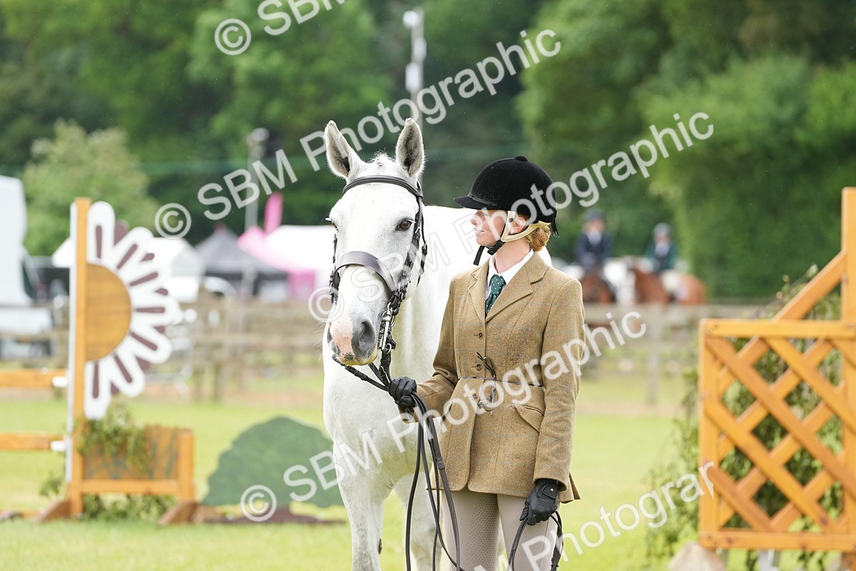 SBM_12744 - Class 97-98 - LIHS BSHA Rising Star Working Show Horse Hunter