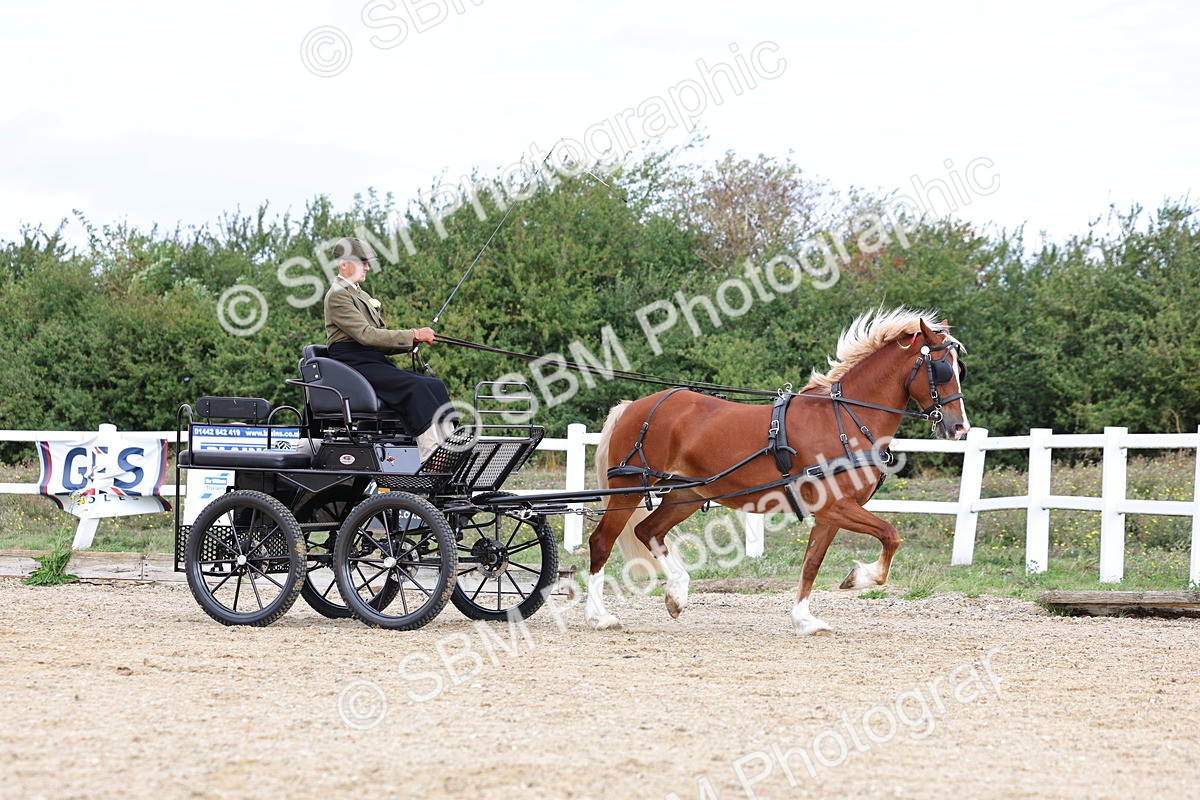 SBM_000746 - Class 6 - Exercise Vehicle 13.2 and over