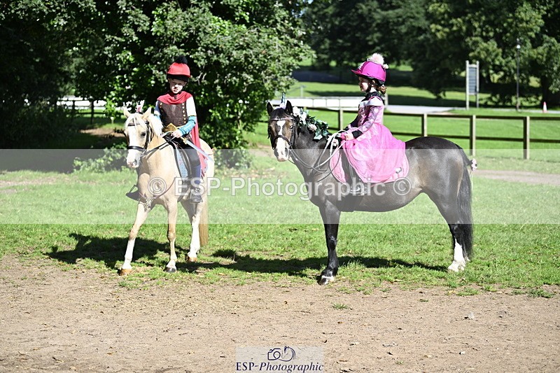 240728B-094524-00114 - Sunday Stable Shots and Fancy Dress