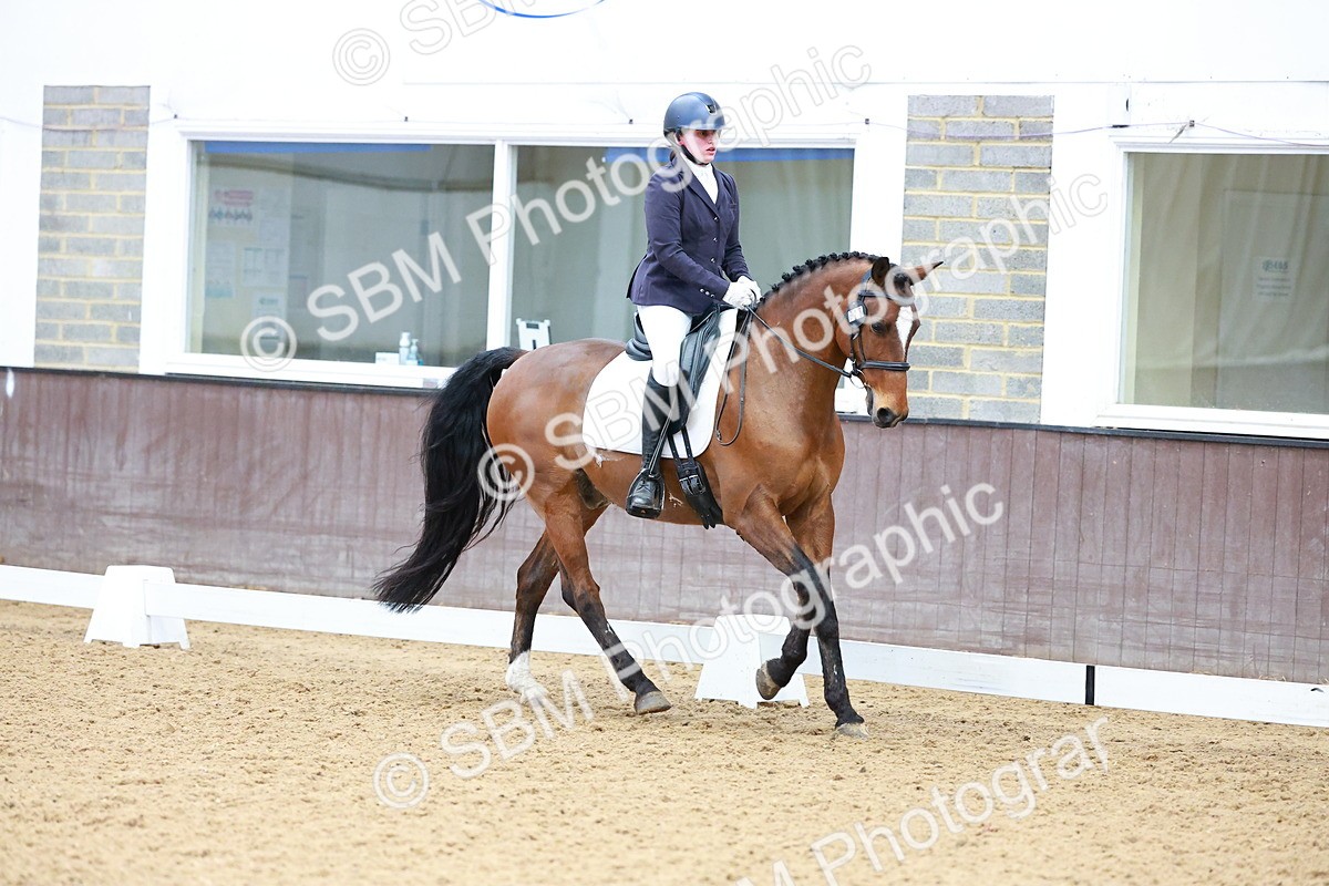 SBM_003451 - Class 15-16-18 - Novice 3-Elementary 1-PYO