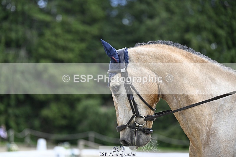 240523-133327-04816 - 109-MJM_BOBBY_DAZZLER-Rosie_Ringer