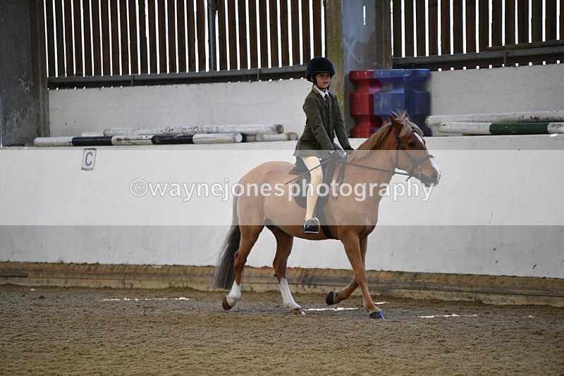 WJ5_5926 - Class 9 Ridden Veteran