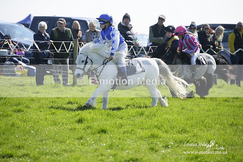 PtP 190322 79 - Wilton Hunt PtP Milborne St Andrew 19/03/22
