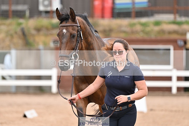 250716-160918-02465 - Trot Up 3.30 to 4.30