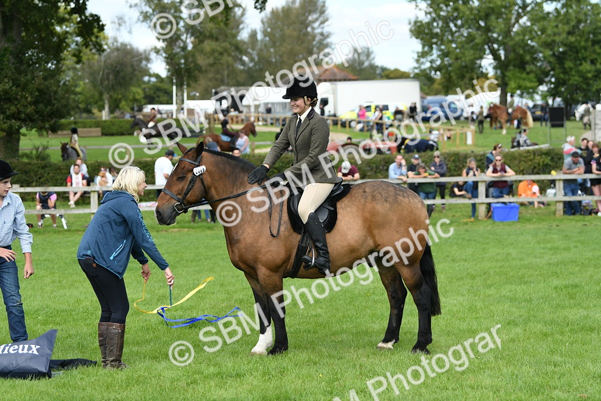 SBM_46862 - S12 - Family Horse & Pony