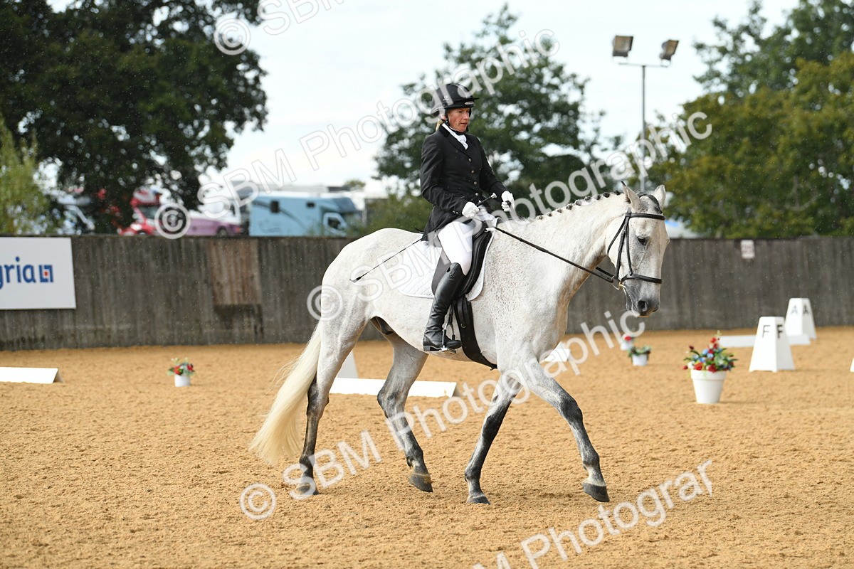 SBM_11186 - D28 Elementary Taster Elementary 42