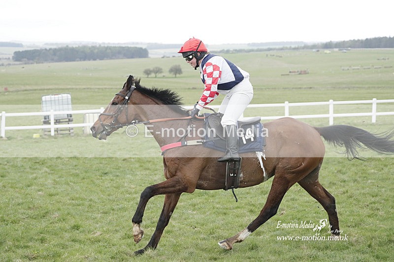 PtP 260323 0595 - New Forest Hounds Point-to-Point Larkhill 26/03/23