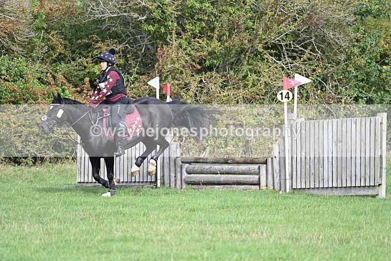 WJ7_8267 - 60cm Pairs