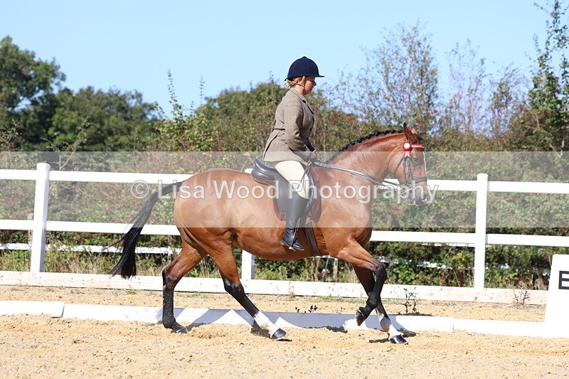 3E7A5719 - Class 10: Riding Horse