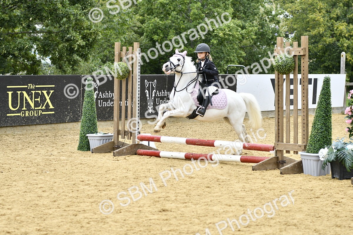 SBM_66149 - J2a mini Tour Junior Pony 30cm Championship
