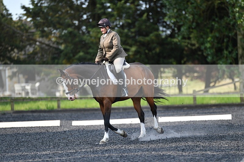 WJ5_8607 - Time 09:00 to 09:23