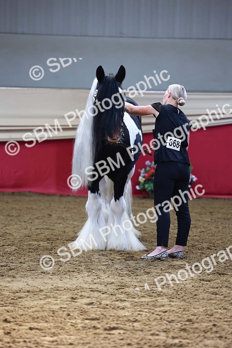 SBM_22377 - Class 902 - Supreme Final - IH Diamond