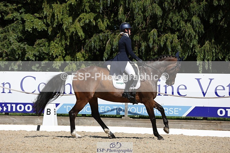 230526-151520-06665 - 379-QUIZICAL_Z-Alice_Hallows-WEDTrotUp+DR