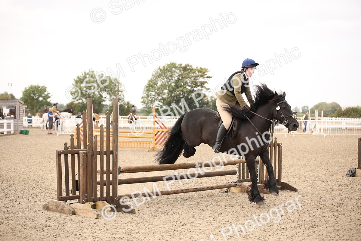 SBM_16185 - Class 409a - Working Veteran 80cm (15-19)