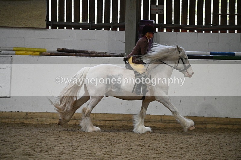 WJ7_3694 - Class 16 Ridden Coloured/ Odd Coloured