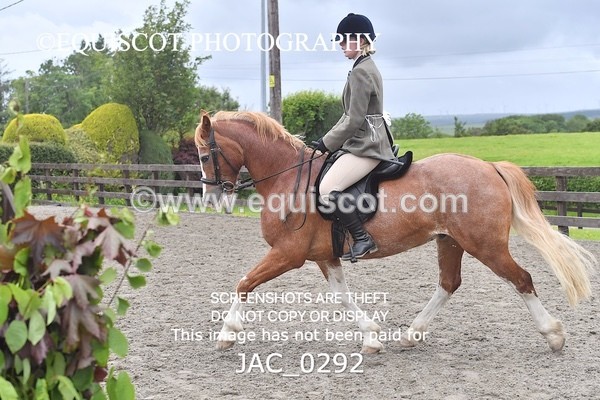 JAC_0292 - CLASS 4 BSPS Scone Palace HT Training Stakes Series (0.60m