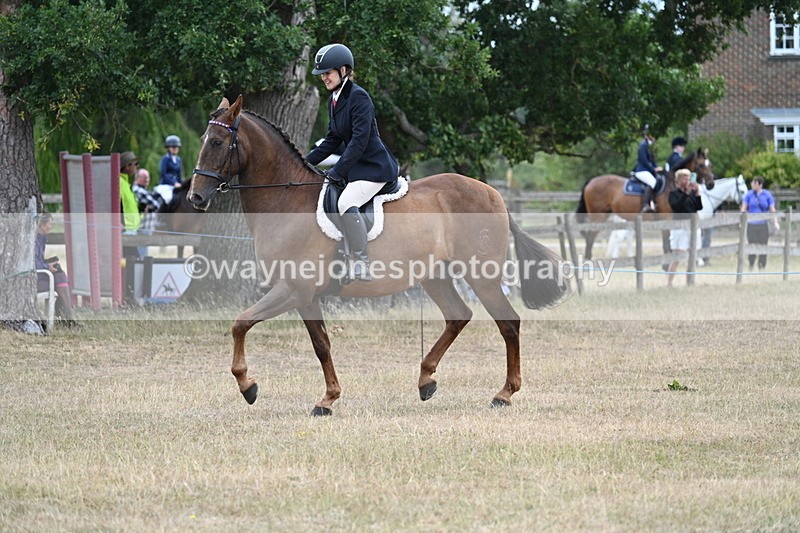WJ7_0846 - Class 7 Riding Club Show Horse