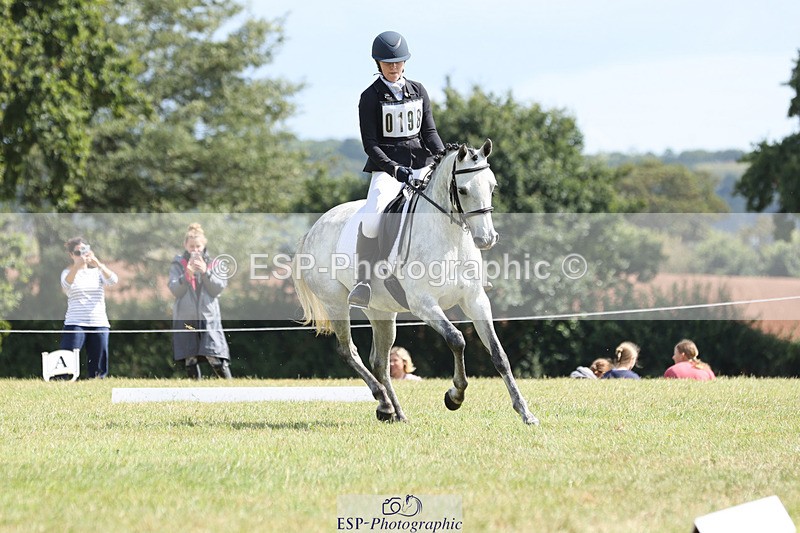 240824X-130939-27243 - D80 Section G and H 12.00 to 13.30