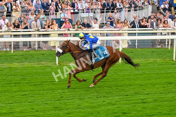 250725-Race 2-Rock N Roll Pinkie-5492 - Race 2 6.03pm Elevator Company Handicap