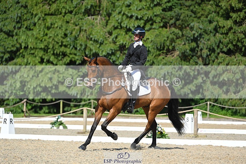 230526-161844-07333 - 255-HI_MR_HENRY-Henry_Hobby-WEDTrotUp+DR