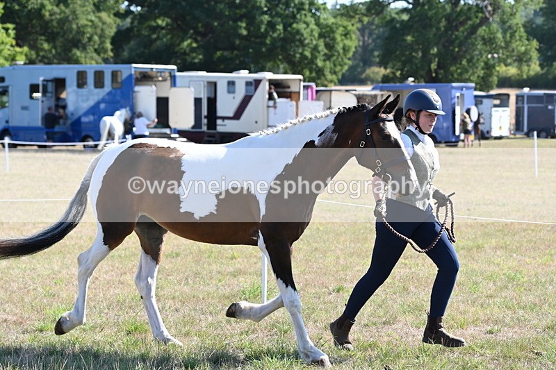 WJ6_4209 - Class 16 Condition & Turn Out