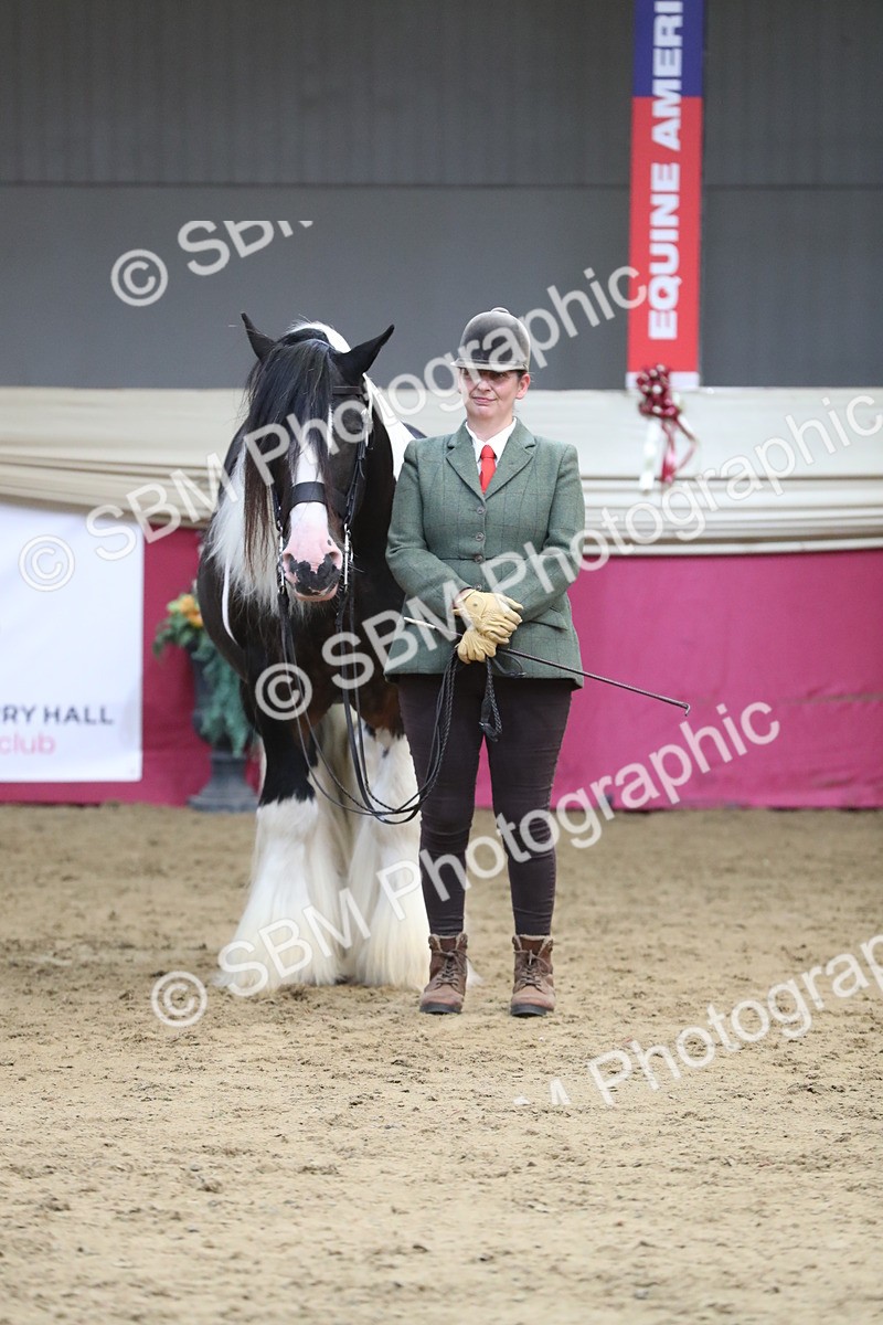 SBM_06437 - Class 9R Regional- IH Pre Vet