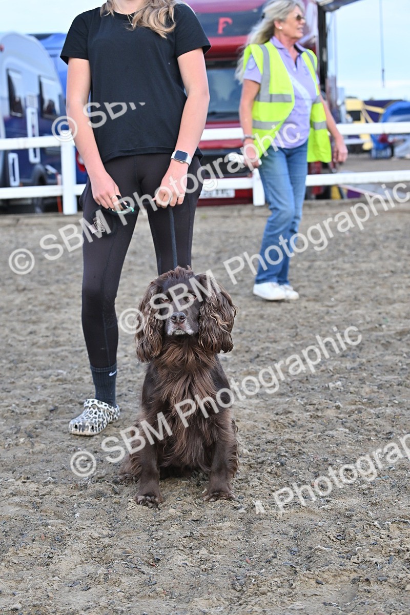 SBM_09524 - Lorry Dogs