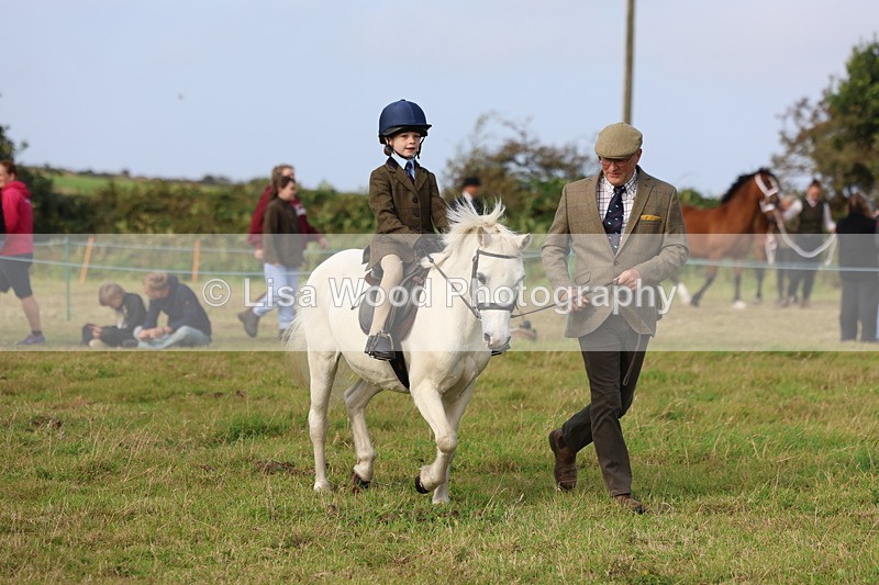 3E7A3702 - Class 2: Lead rein