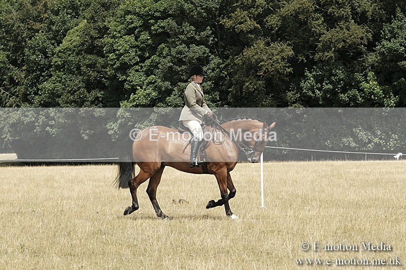 _PJP6002 - BVRC Show 2018 Ring 1