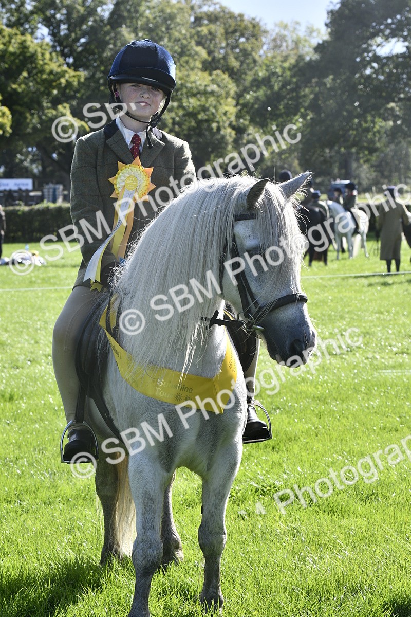 SBM_37236 - S31 - Novice & Newcomer Working Hunter Pony