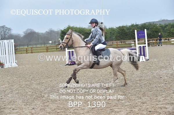 BPP_1390 - CLASS 5 Pony BritiNovice / 0.80m Open