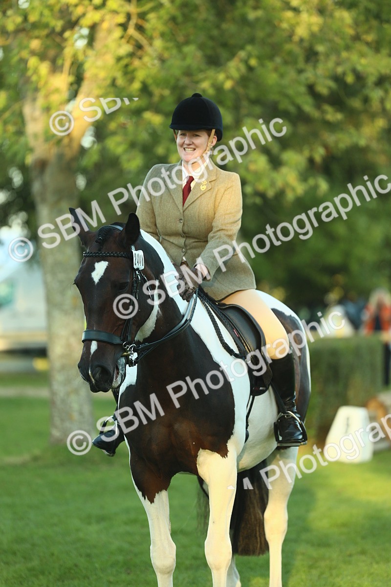 SBM_56508 - S14 - Riding Club Horse
