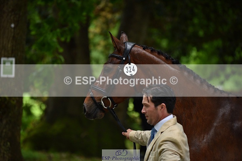 240522-152100-00280 - 324-COOMBELAND_SEMILLY-Rupert_Batting