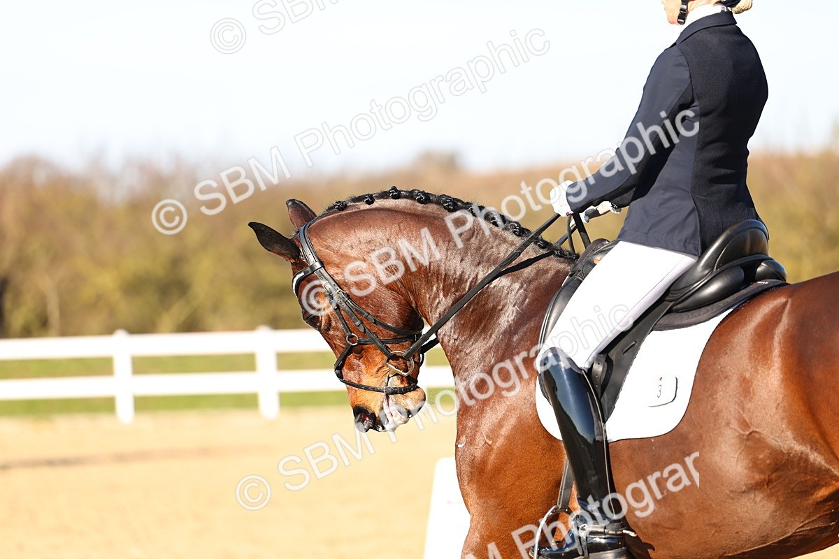 026A9191 - Class 8 - Elementary 5